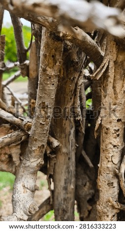 A twig wall backdrop is created by weaving, interlacing, or layering dried branches, pruning twigs, or other natural materials to create a barrier or substitute for a solid wall or fence. It is commonly used as a garden boundary, a privacy screen, or for decorative purposes.