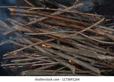 twigs and fire