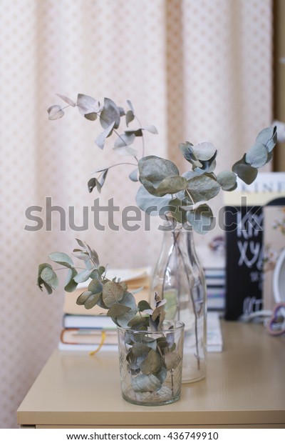 Twigs Round Eucalyptus Glass Vases On Stock Photo Edit Now 436749910