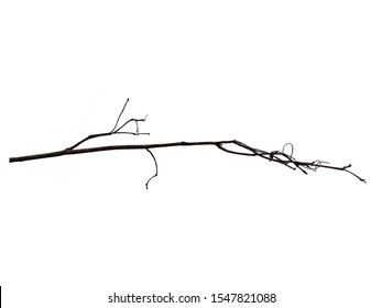 tree stick clipart