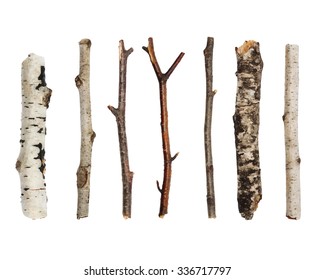 Twigs, set macro dry branches birch isolated on white background,  with clipping path - Shutterstock ID 336717797
