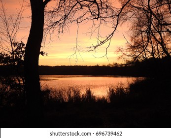 Twilight Forest Lake     