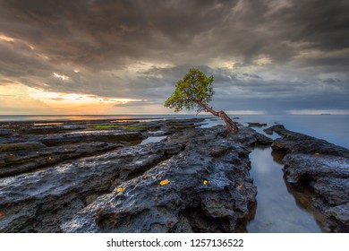 Kuri Caddi Beach Images Stock Photos Vectors Shutterstock