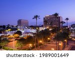 Twilight palm tree framing the skyline of downtown Anaheim, California, USA.