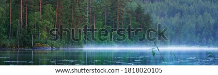 Twilight Saimaa lake and pine forest in a fog. Finland. Picturesque panoramic scenery. Atmospheric landscape. Pure nature, ecology, environmental conservation, eco tourism, travel destinations