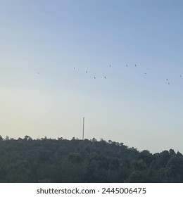 Twilight Sky over Tranquil Forested Hilltop with Birds Flying - Powered by Shutterstock