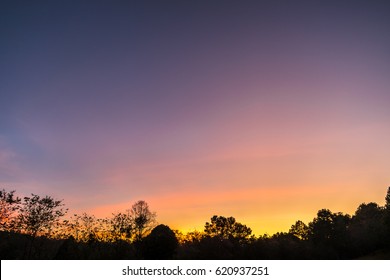 Twilight sky with silhouette trees before sunrise or after sunset - Shutterstock ID 620937251
