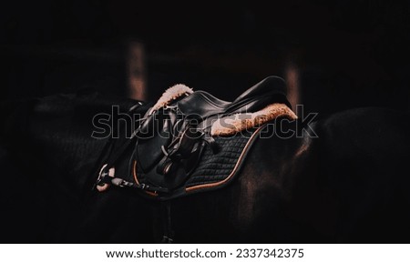 In the twilight of a summer day, can see a saddle and horse ammunition, dressed on a black horse. Equestrian sports and horse riding.