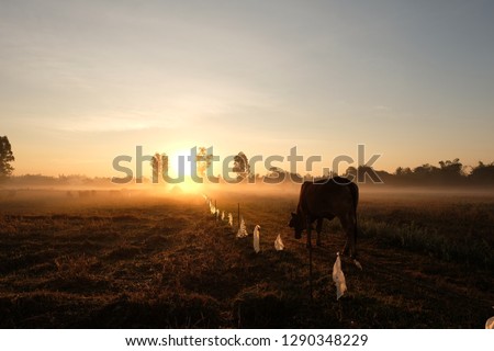 Similar – Oktoberwiese II Umwelt