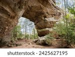 Twin Arches, Natural Rock Arch at Big South Fork National River and Recreation Area, in Tennessee, USA