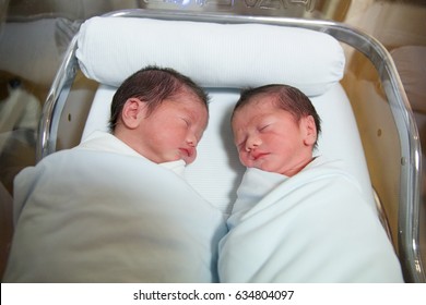 Twins Images, Stock Photos & Vectors  Shutterstock