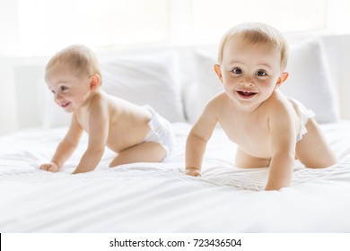 Twin Babies Hd Stock Images Shutterstock