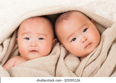 Twin Baby, Japanese