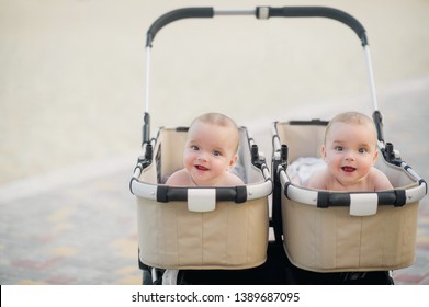 twins trolley