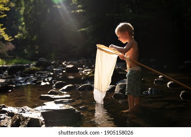 Twin Brothers Fishing For Crayfish In A Stream With Nets