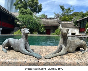 Twin Dogs By The Pool In Bangkok