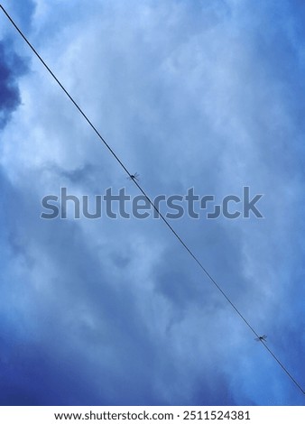 Similar – Image, Stock Photo On the line Harmonious