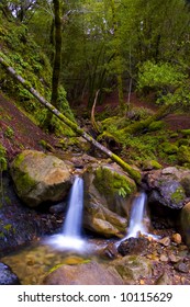 twin falls in the forest