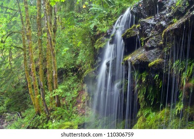 Twin Falls, Gifford Pinchot National Forest