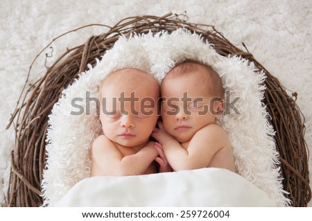 Twin Newborns in a basket