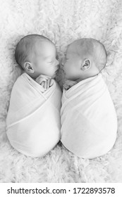 Twins. Newborn Twin Boys. The First Photo Session Of Newborns. Twin Brothers Black And White Photo