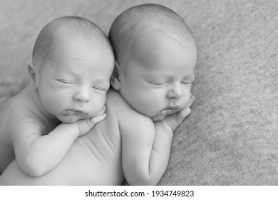 Twins. Newborn Twin Boys. The First Photo Session Of Newborns. Twin Brothers Black And White Photo