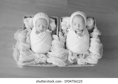 Black Twins Newborns Images Stock Photos Vectors Shutterstock