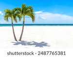 Twins Palm Trees in Florida beach, USA with white sand copy space