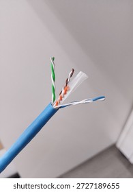 Twisted pair ethernet cable with separator. Cut section of Ethernet cable showing four twisted wire pairs and plastic separator for signal integrity.