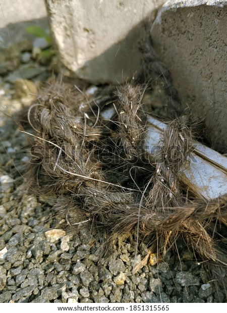 Twisted Palm Rope Waste On Pebbles Stock Photo 1851315565 Shutterstock