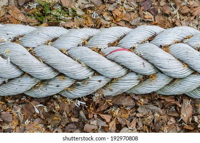 Twisted Rope Background Stock Photo 192970808 | Shutterstock