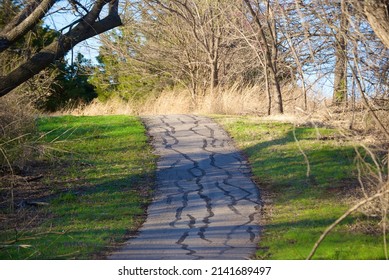 A Twisting, Uphill Path Through The Woods.