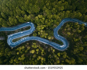 Twisty Forest Road Seen From Above. Aerial View.