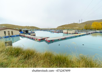 TWIZEL, NEW ZEALAND -MAY 6, 2016: Floating Salmon Farm On The Glacial Waters Of Wairepo Arm, NZ. New Zealand Accounts For Over Half Of The World Production Of King Salmon (7,400 Tonnes In 2005).