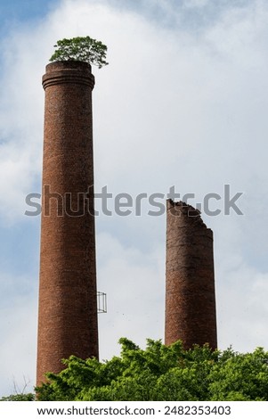 two abandoned chimneys, which are standing in a forest, with white clouds and blue sky background. one of the chimney is ruined, the top is broken. And there are trees on the top of another chimney.