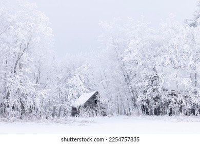Two abandoned farm buildings are surrounded by trees which are covered in a massive amount of frost and snow.  The beautiful winter scene gives a feeling of peace and calm.  - Shutterstock ID 2254757835