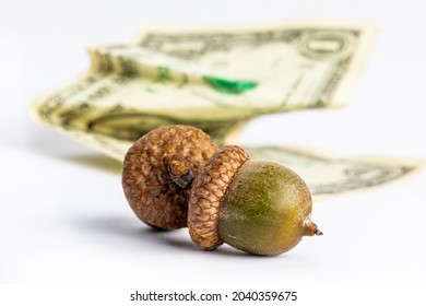 Two Acorns With A Crumpled Dollar Bill Signifying Saving For The Future And Accumulating Wealth Isolated On White