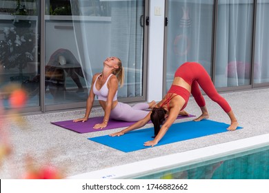 Two active woman, asian and caucasian, practicing yoga at luxury villa poolside to keep fit and health. Woman fitness, sport activity. - Powered by Shutterstock