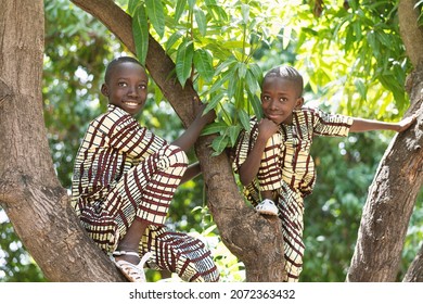 Two adorable black African boys in twin dress sitting on a mango tree posing for the camera