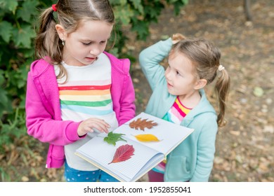 Two Adorable Friends Girls Collecting Colorful Leaves For Herbarium On Warm Autumn Day In The Forest. Children Exploring Nature Outside. Kids In Fall Concept