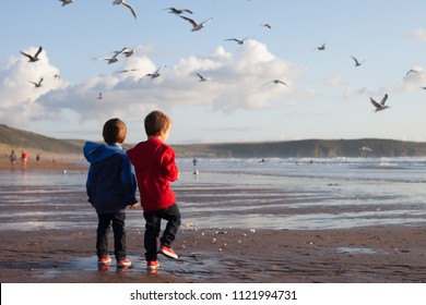 Two adorable kids, feeding the seagulls on the beach, sunset time - Powered by Shutterstock