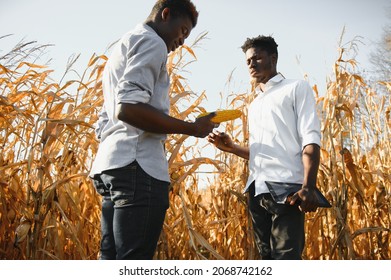 Two African Farmers In Corn Field.