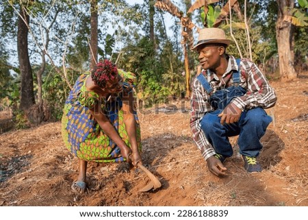 Two African farmers hoe the fields and have a conversation, agriculture in Africa.