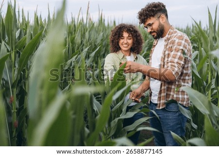 Two agronomists inspecting a vibrant corn plantation, smiling as they assess the health and growth of the crops under the summer sun