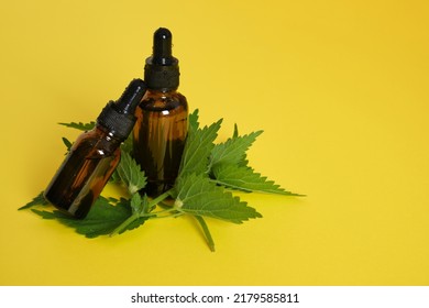 two amber Glass dropper bottle of nettle oil or serum and nettle leaves on bright yellow background top view opy space nettle benefits for skin, natural cosmetics concept