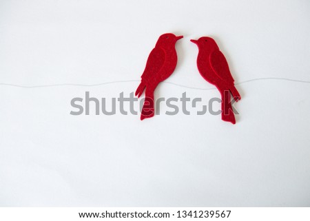 Two amorous little red birds in front of white background
