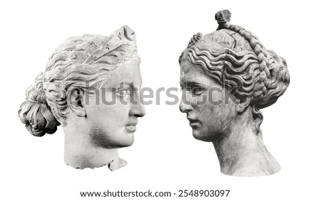 Two ancient marble busts, side by side, showcasing intricate hairstyles and classical features. The sculptures depict timeless beauty and artistic craftsmanship. Antique sculptures isolated on white.