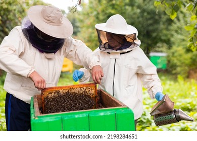 Two Apiarists With Hive Frame