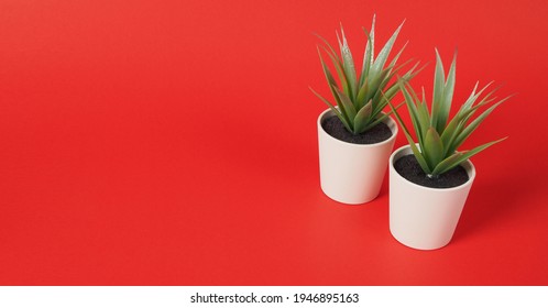 Two Artificial Cactus Or Plastic Plant Or Fake Tree On Red Background.no People