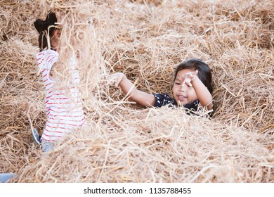 Two asian child girls having fun to play with hay stack together in the farm with happiness - Powered by Shutterstock